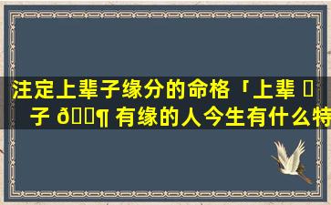 注定上辈子缘分的命格「上辈 ☘ 子 🐶 有缘的人今生有什么特征吗」